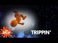 In Memoriam 90s Slang NickRewind