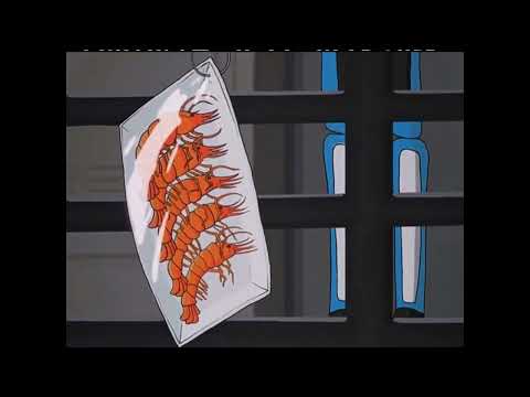 Kerfur Asserting Dominance – Voices of the Void Animation