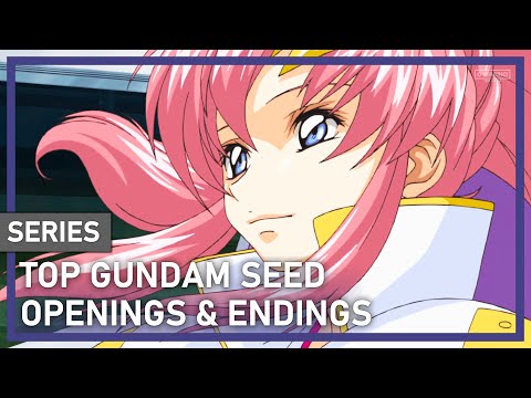 Kidou Senshi Gundam SEED Final Plus: Erabareta Mirai vestige T.M.Revolution