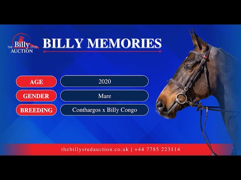 Billy Memories