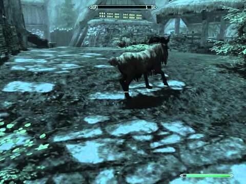 An encounter with a goat in Falkreath..