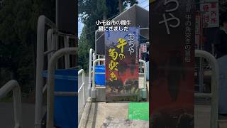 越後闘牛おぢや　#小千谷市