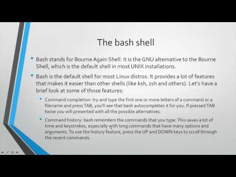 Learn Linux from Scratch - Running in The Background