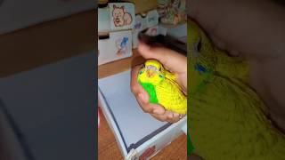 Download lagu Packing order fake🥰😄#shortsviral #packingfakeorder #unboxing #love #cute #trending #kpop #diy #new mp3 Download lagu Packing order fake🥰😄#shortsviral #packingfakeorder #unboxing #love #cute #trending #kpop #diy #new mp3