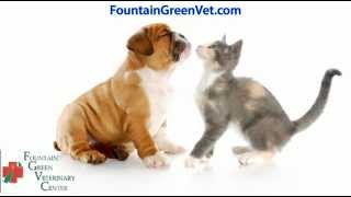 preview picture of video 'Vets in Bel Air MD | 410-836-5335 | Harford County Vets'