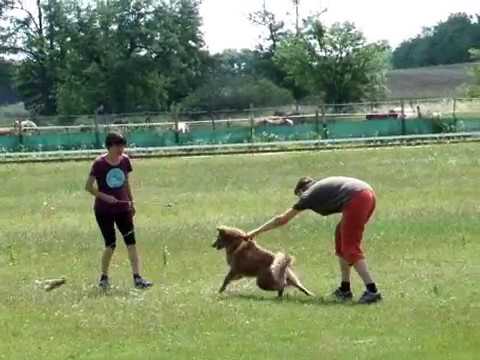 Szikes - Lelkes edzés 2018.06.03.