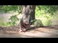 3 touch video for Insaniyat. Must watch. 3 touch video for Insaniyat. Must watch.