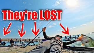 They COMPLETELY Forgot how to Fish...