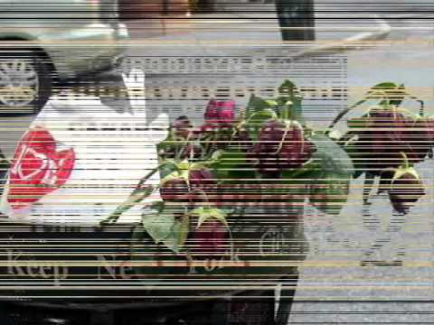 Dr.Project Point Blank-U kanti za  djubre