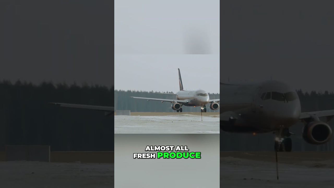 Northern Towns Face Shocking Food Prices: The Supply Chain Struggle