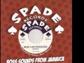 Slickers - What A Botheration