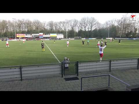 s.v. de Valleivogels - v.v. Lunteren