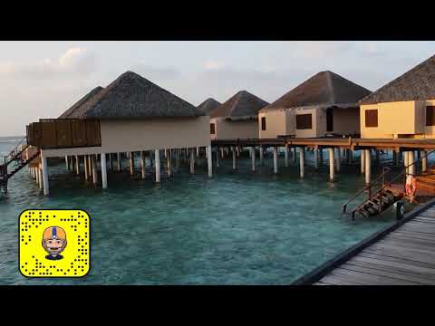 Videos del Adaaran Prestige Vadoo 5★ en Atolón de Malé Sur, MaldivasVer MásVerPrecios19CerrarConsulta por Whatsapp 🇦🇷BookingTripadvisorExpediaAgodaTravelocityOrbitzPricelineTripSkyscannerDespegarKayakHotelesDestiniaTrivagoTurismocityLastminuteHotwireTuiWotif