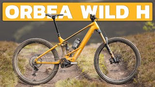 Is Alloy Better Beyond the Price? ORBEA WILD H Review