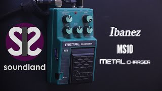 Ibanez MS10 Metal Charger - What To Know & Where To Buy