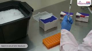 MBT197 - HiPurA® DH10B Competent Cells