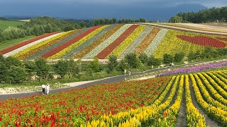 202507/24-25北海道富良野