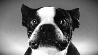 SLEAFORD MODS – "FACE TO FACES"