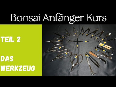 „Bonsai Werkzeug: Was du WIRKLICH brauchst (und was nicht!)“