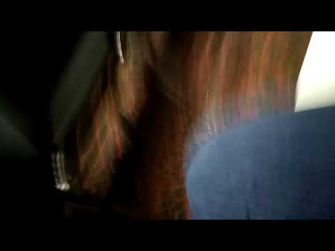 2018 All State band TMEA