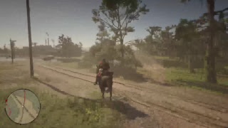 RDR2を垂れ流し