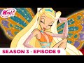 Winx Club | FULL EPISODE | The Heart and the Sword | Season 3 Episode 9