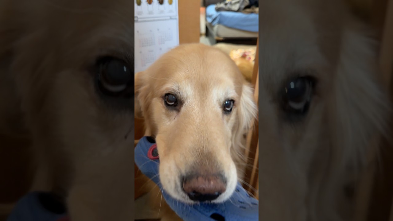 うんこしてるから今マジ無理だから