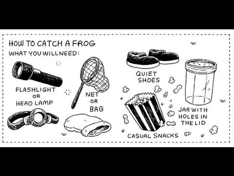 The Uncluded - How to Catch a Frog
