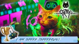 Stray • I Am Speed Trophy Speedrun Guide