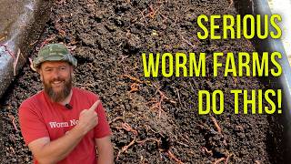 One Worm Bin or Two? The Truth About Breeding vs Castings Production