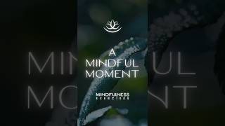 Mindfulness Meditation demonstration thumbnail