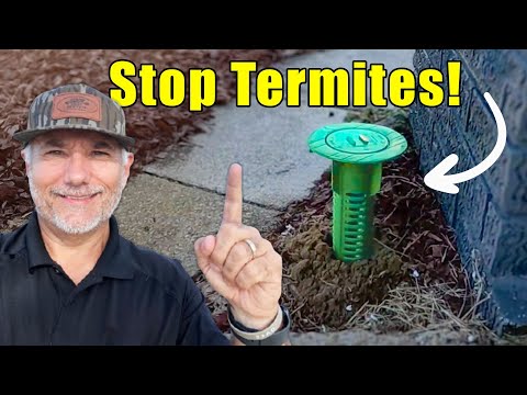 Step By Step Guide To Installing Termite Bait Stations!