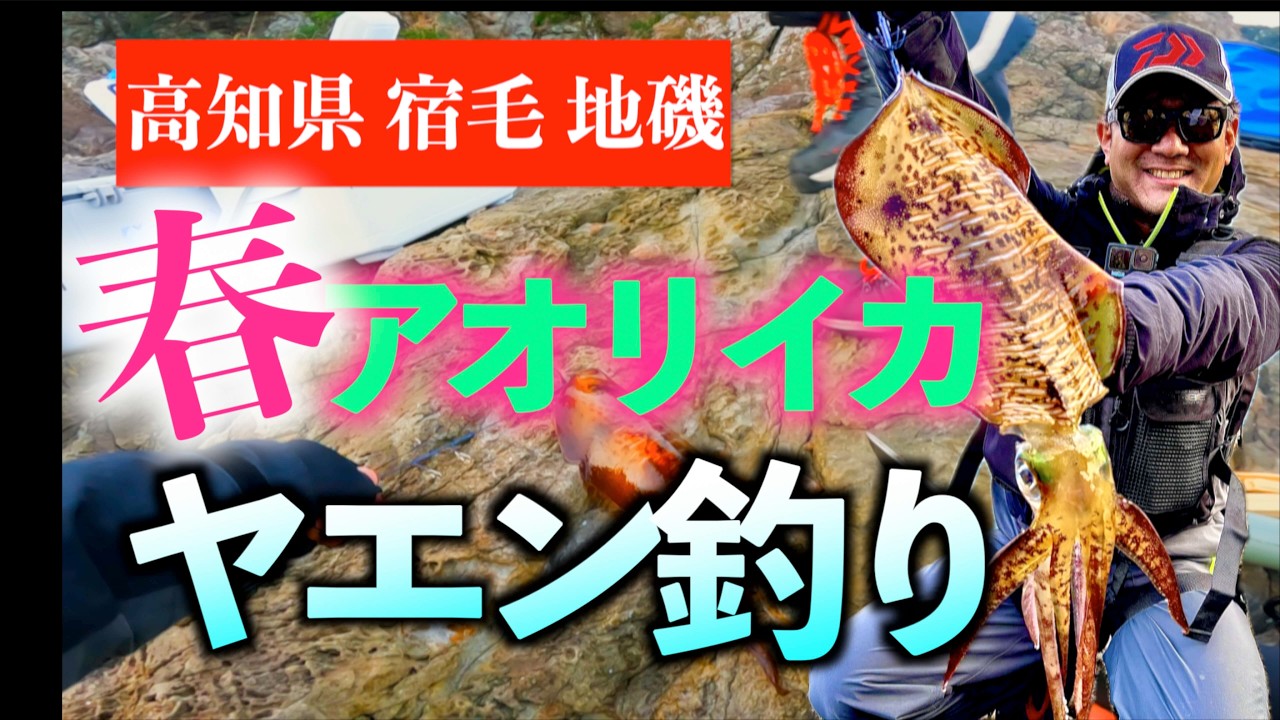 【宿毛の地磯】3月下旬のヤエン釣りで春の親イカ連発！？高知県のアオリイカ攻略！