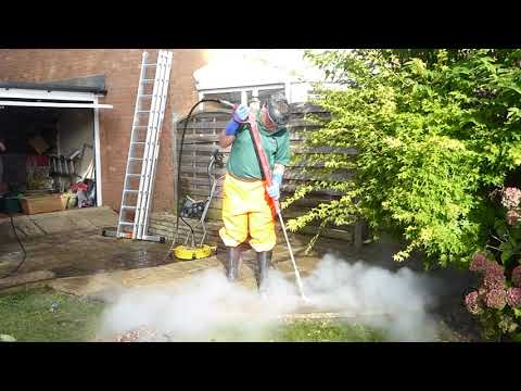 MOSS MONSTER LTD video.