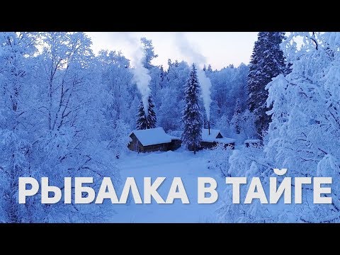 РЫБАЛКА НА ДИКИХ ОЗЕРАХ ТАЙГИ. Рыболовная экспедиция в Архангельскую тайгу. Часть 2