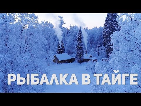 Фото РЫБАЛКА НА ДИКИХ ОЗЕРАХ ТАЙГИ.  Рыболовная экспедиция в Архангельскую тайгу. Часть 2