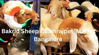 Bakrid Sheep Chamrajpet  Market Bangalore 2025 /ಬಕ್ರೀದ್ ಕುರಿ ಚಾಮರಾಜಪೇಟೆ ಮಾರುಕಟ್ಟೆ ಬೆಂಗಳೂರು 2025