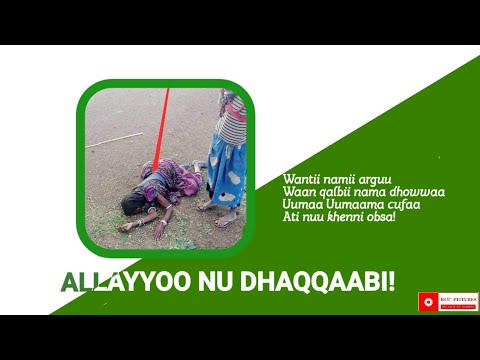 Allayyoo nu dhaqqaabi_new Oromo poem 2023 _Badada Halake