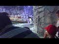 Detroit Zoo Royal Oak MI 08 08 2018 Part 4