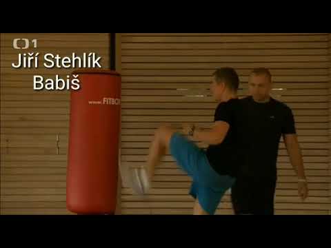 Jiří Stehlík 2 - Babiš