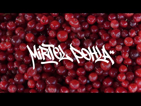 RLV Massive - Mirtel Pohla (2024)