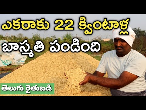 1121 rice, packaging size: 5 kg