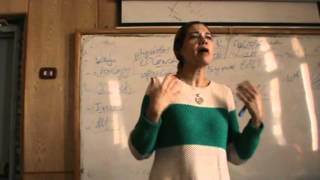 Obstetrics - Dr.Nadine Alaa - Intrauterine growth retardation & Macrosomia (2)