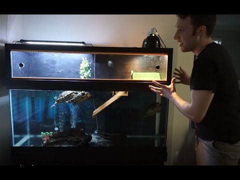 Part 1: How to Build an Above Tank Turtle Basking Platform Dock DIY