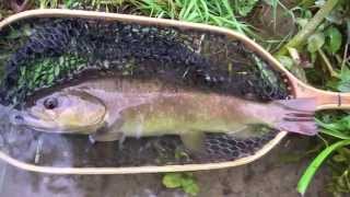 Flyfishing Sanica e Ribnik TL