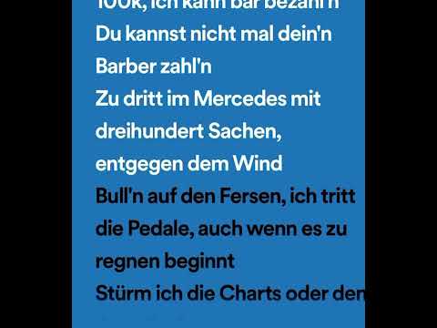 3065 Ak-Auserkontrolle