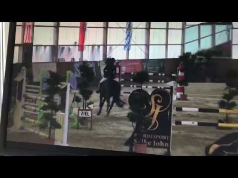 Coleen v. Cormint - Cash and Carry, 130 in Pausin