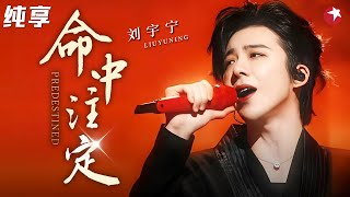 Download lagu 刘宇宁一首《命中注定》封神，性感烟嗓开口就是王炸，台下明星都听醉了~#刘宇宁 #明星演唱会 clip mp3