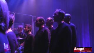 Aequivox - Sirens Call (Cats On Trees Cover)