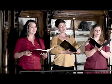 "Elment a madárka" - népdal I Bartók Béla: Elment a madárka